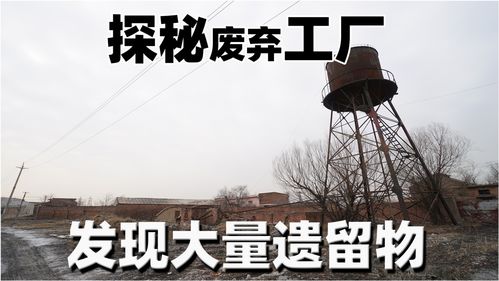 (第五件遗留物前十步)探秘第五件遗留物111165的背后故事与历史价值