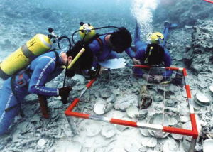 (中国水下考古发现)揭秘中国沿海水下世界：寻宝之旅揭秘古代文明的珍宝
