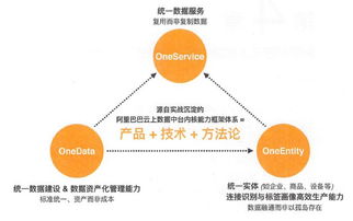 新澳门彩历史开奖数据|智能解答解释落实_特定款.3.151